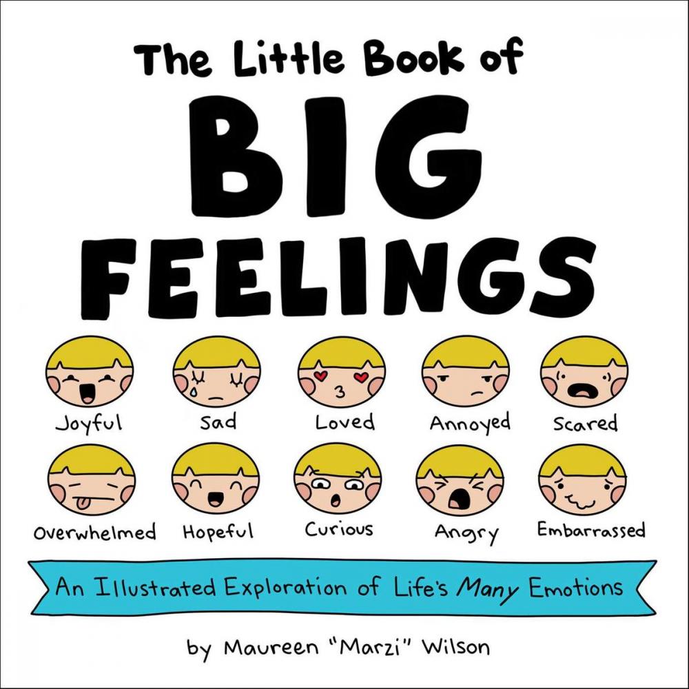 Big bigCover of The Little Book of Big Feelings