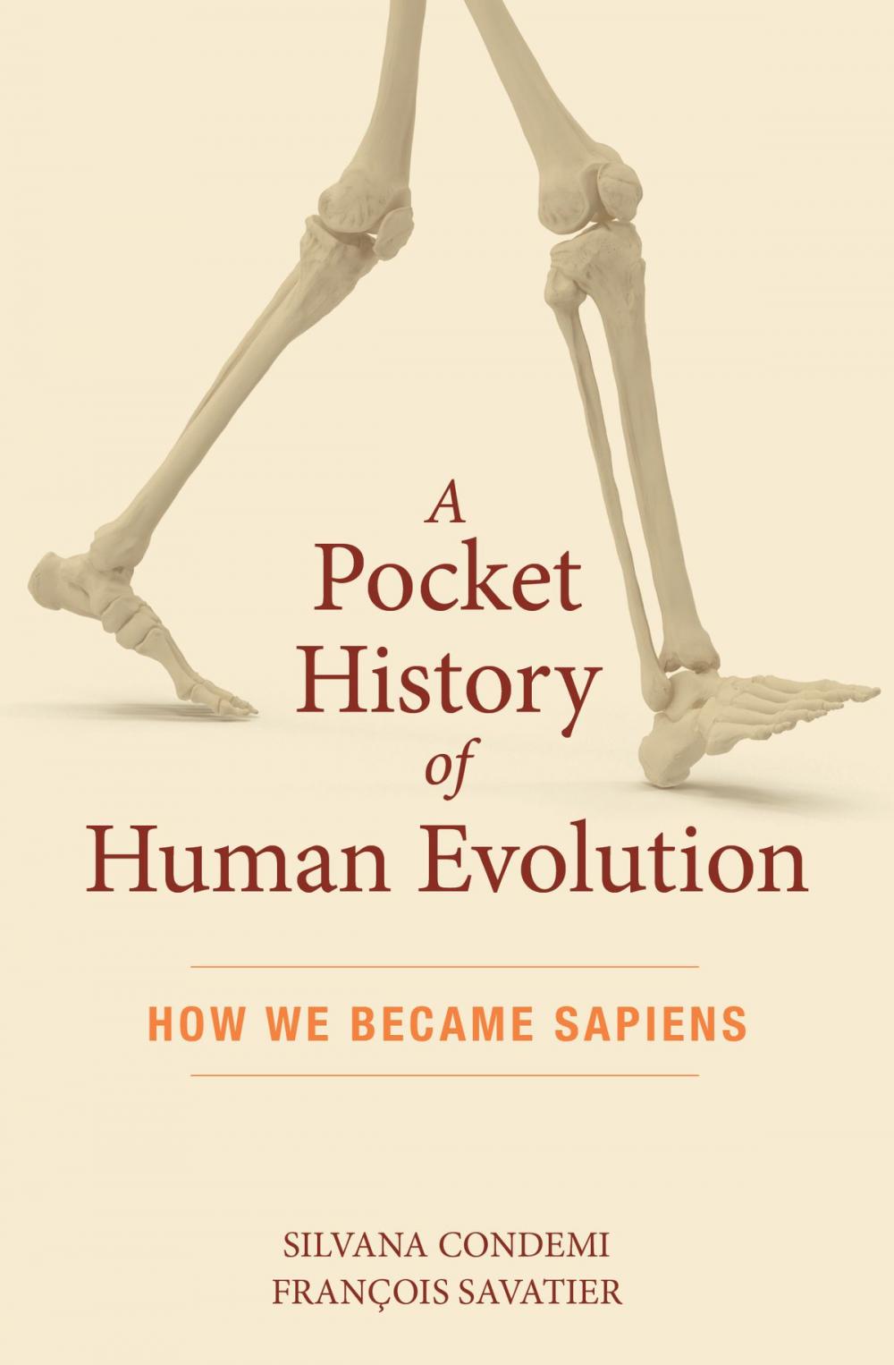 Big bigCover of A Pocket History of Human Evolution