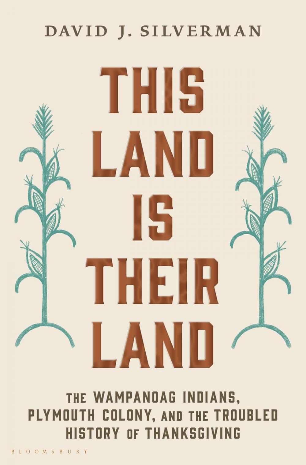 Big bigCover of This Land Is Their Land