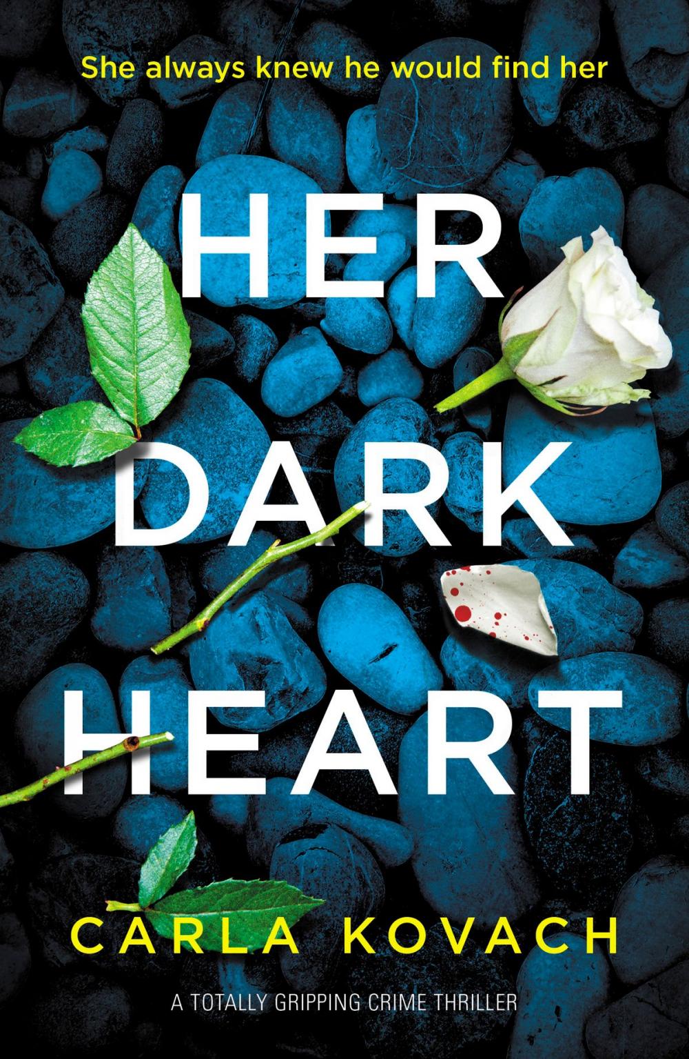 Big bigCover of Her Dark Heart