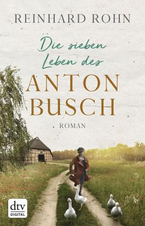 Cover of the book Die sieben Leben des Anton Busch by Robert Zimmer