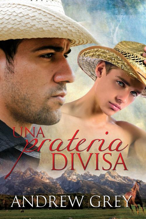 Cover of the book Una prateria divisa by Andrew Grey, Dreamspinner Press