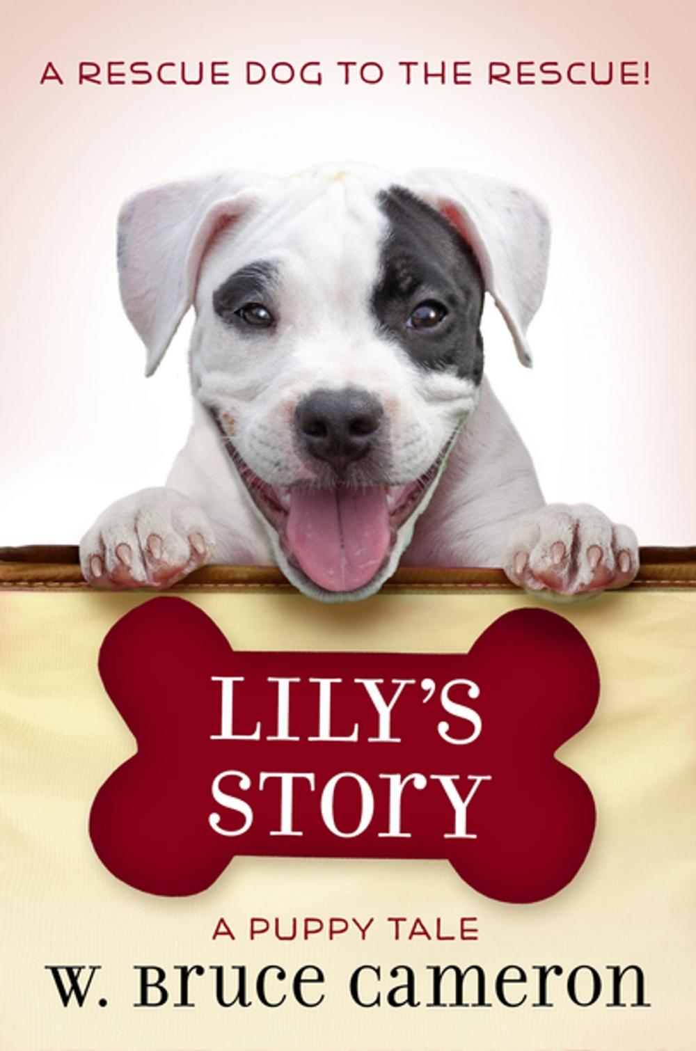 Big bigCover of Lily's Story