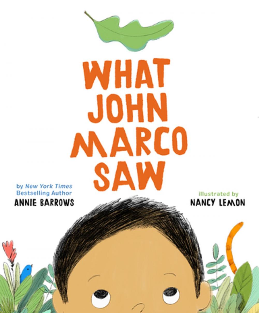 Big bigCover of What John Marco Saw