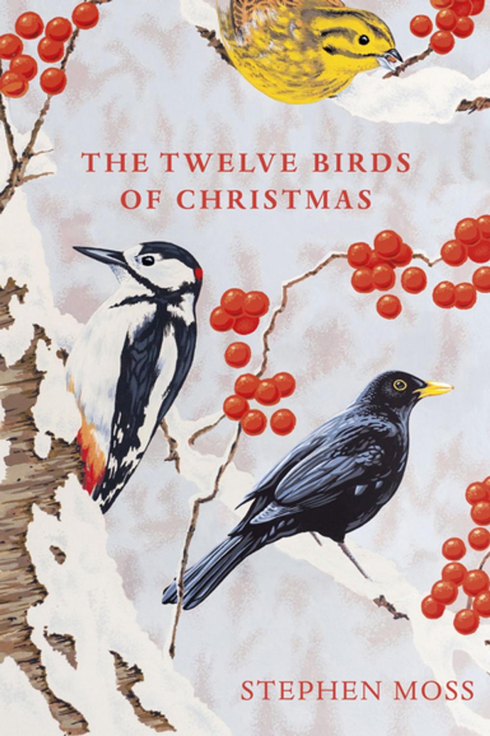 Big bigCover of The Twelve Birds of Christmas