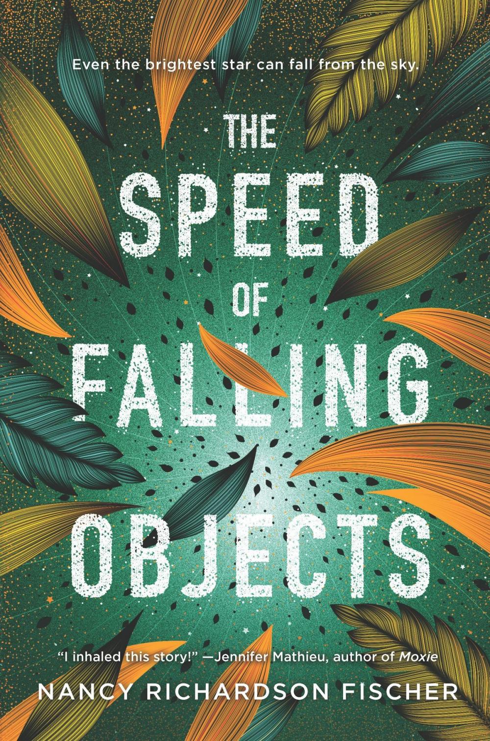 Big bigCover of The Speed of Falling Objects