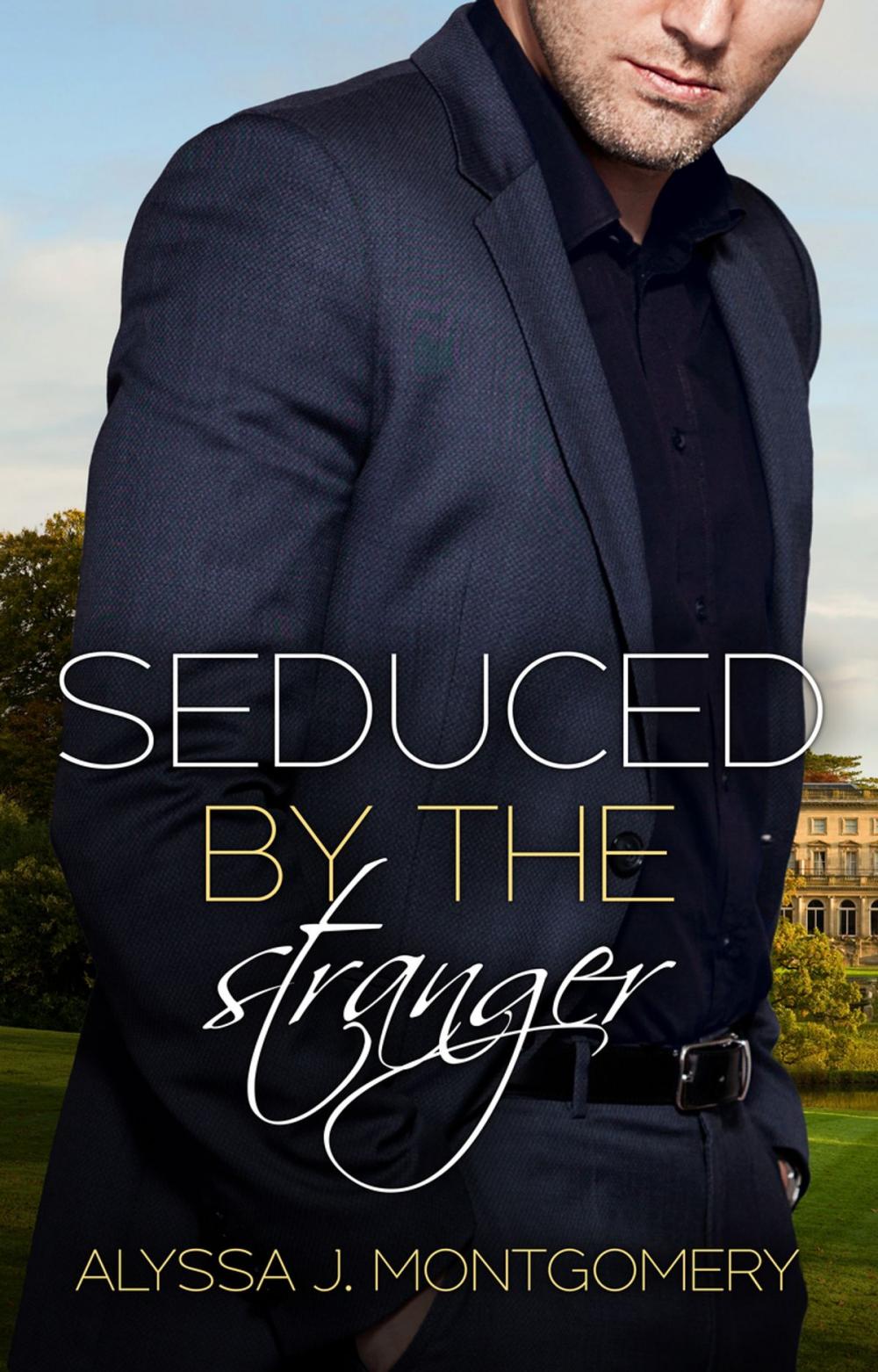 Big bigCover of Seduced by the Stranger (Billionaires & Babies, #2)