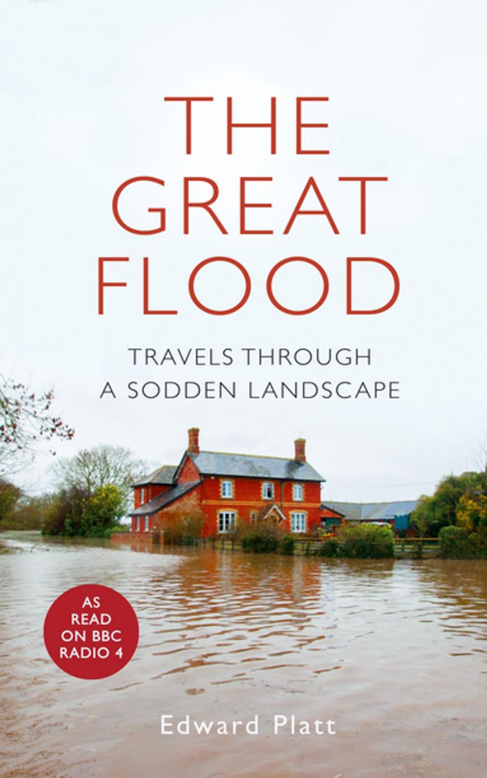 Big bigCover of The Great Flood