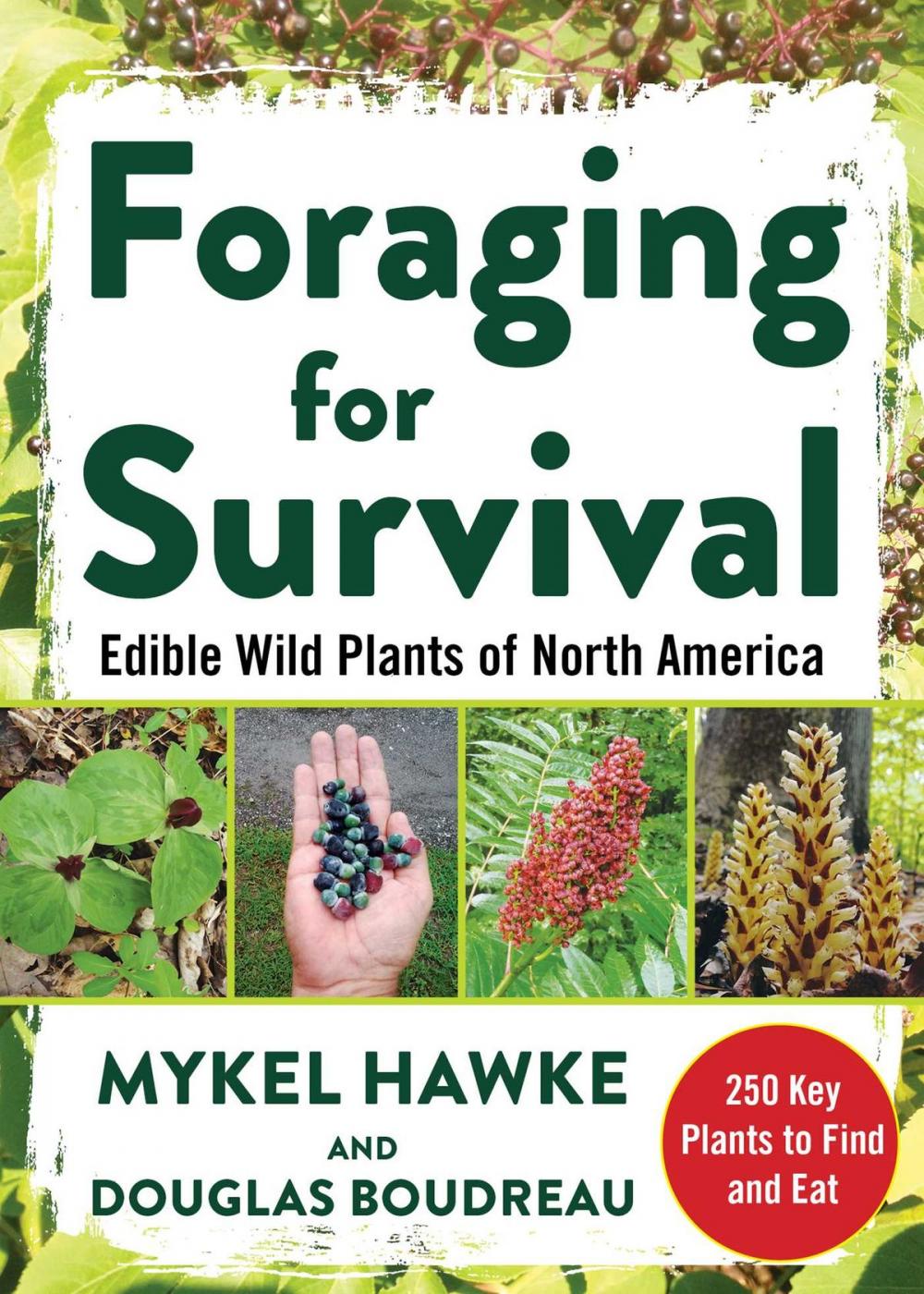 Big bigCover of Foraging for Survival