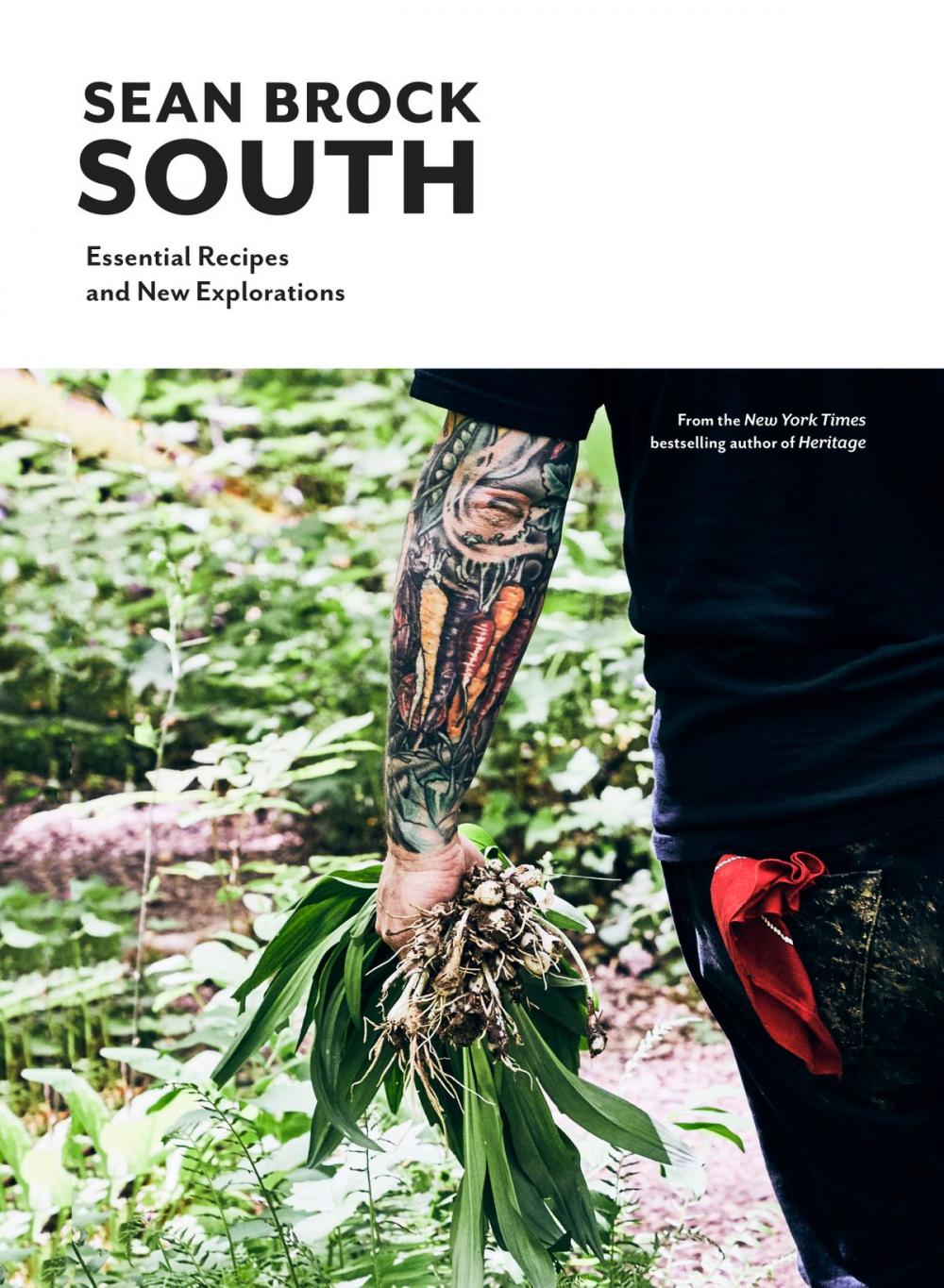 Big bigCover of South