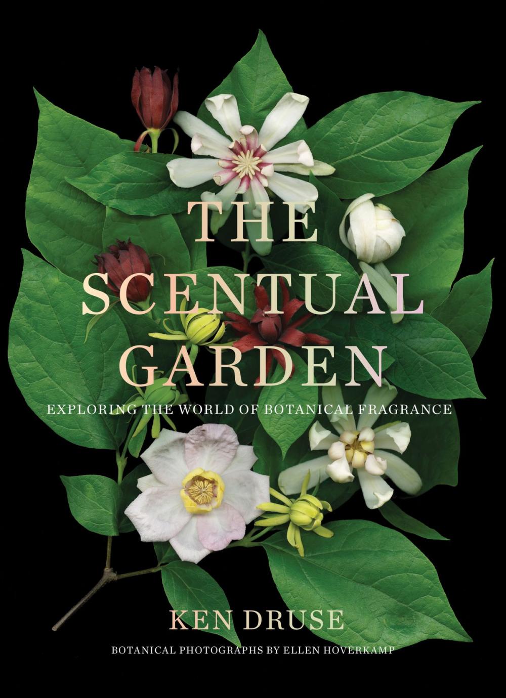 Big bigCover of The Scentual Garden