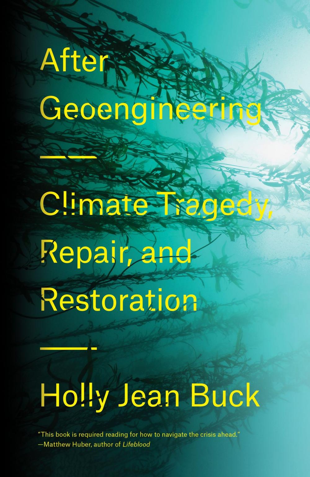 Big bigCover of After Geoengineering