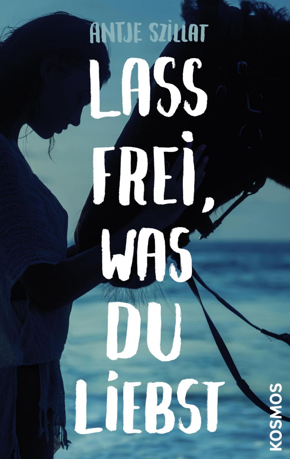 Big bigCover of Lass frei was du liebst