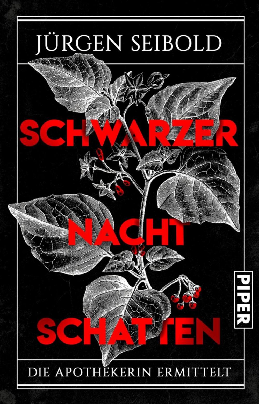 Big bigCover of Schwarzer Nachtschatten