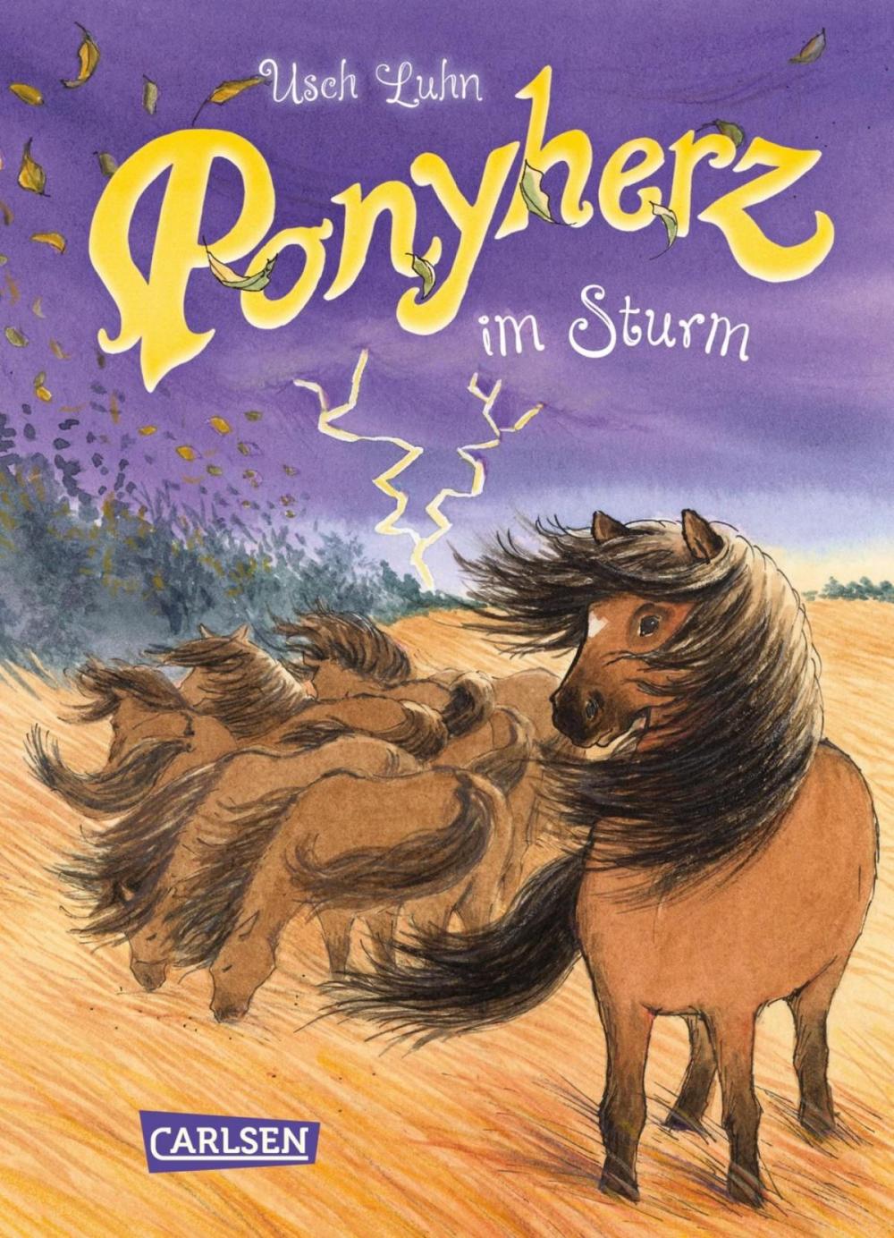 Big bigCover of Ponyherz 14: Ponyherz im Sturm