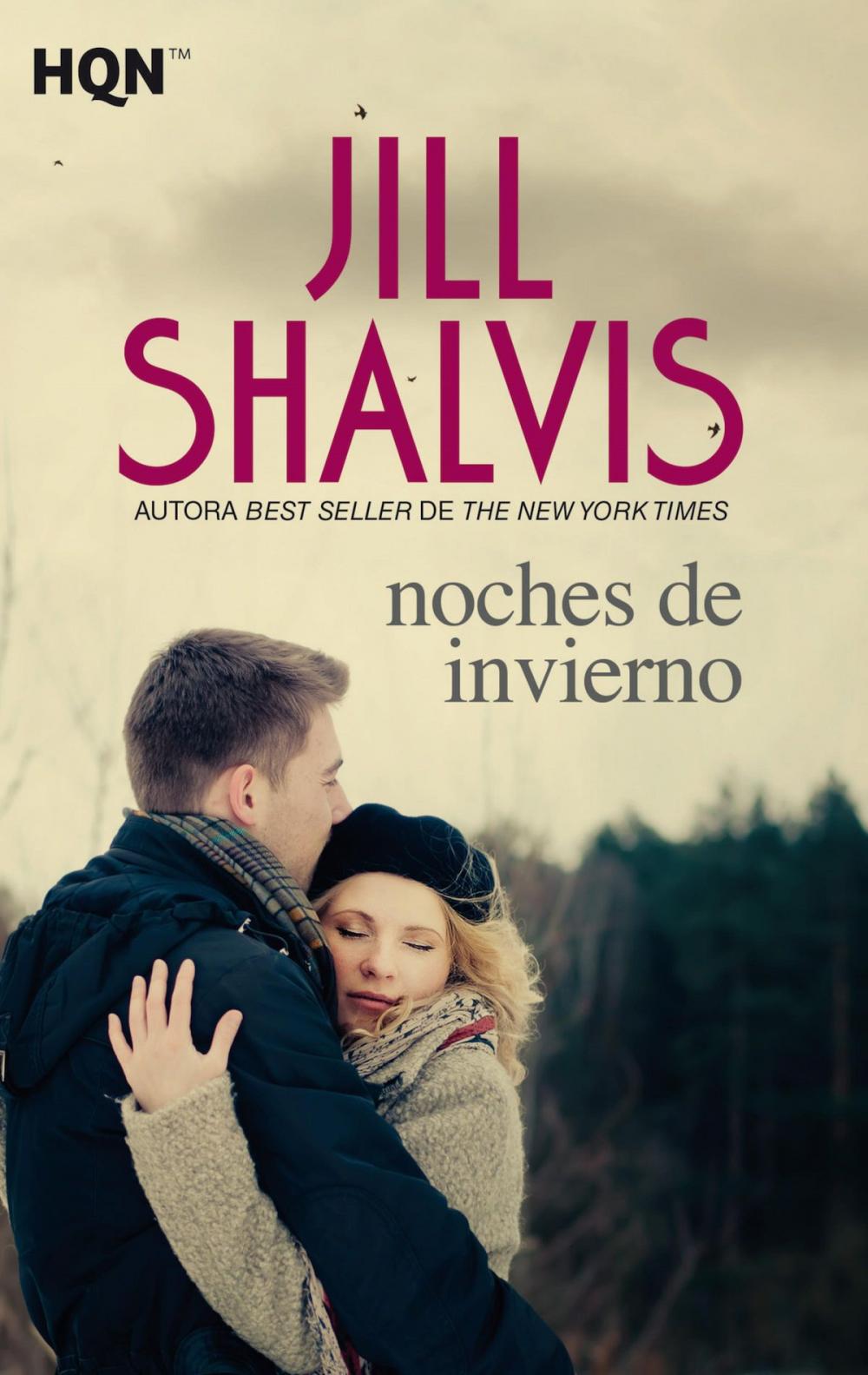 Big bigCover of Noches de invierno