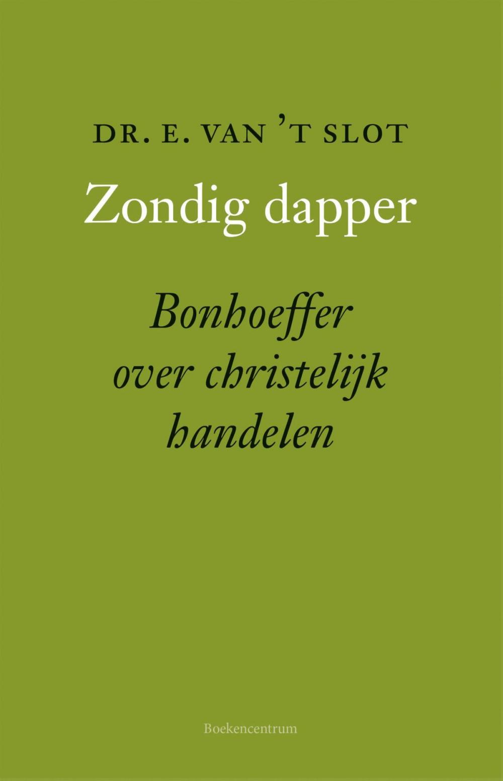 Big bigCover of Zondig dapper