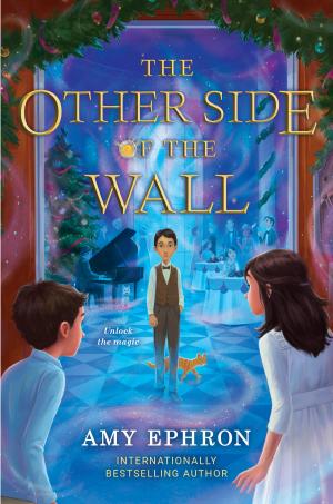 Cover of the book The Other Side of the Wall by Jason Lethcoe