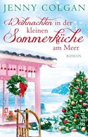 Book cover of Weihnachten in der kleinen Sommerküche am Meer