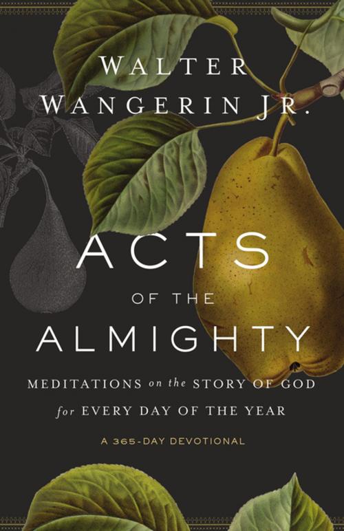 Cover of the book Acts of the Almighty by Walter Wangerin Jr., Zondervan