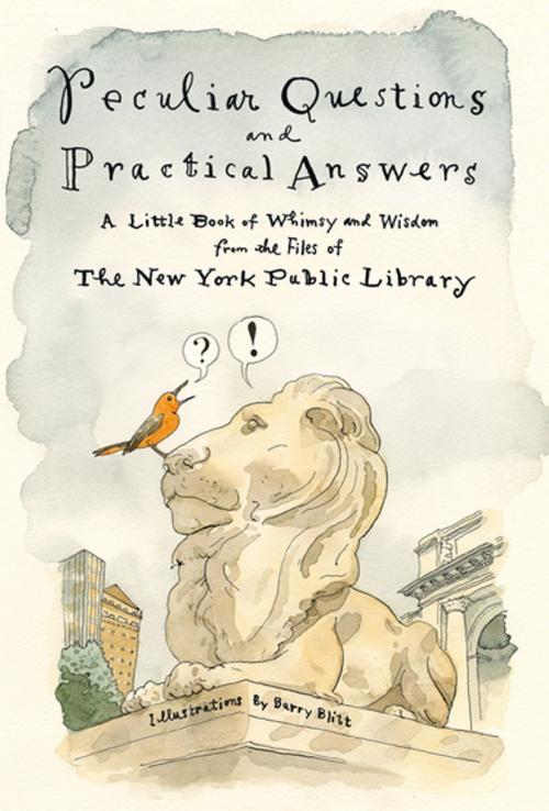 Cover of the book Peculiar Questions and Practical Answers by New York Public Library, St. Martin's Publishing Group