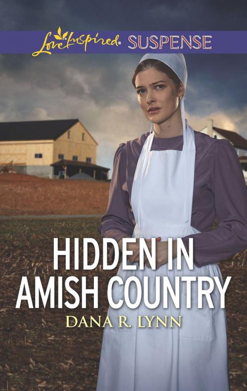 Cover of the book Hidden in Amish Country by Dana R. Lynn, Harlequin