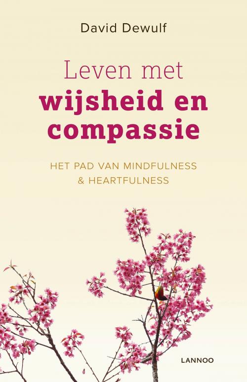 Cover of the book Leven met wijsheid en compassie by David Dewulf, Terra - Lannoo, Uitgeverij