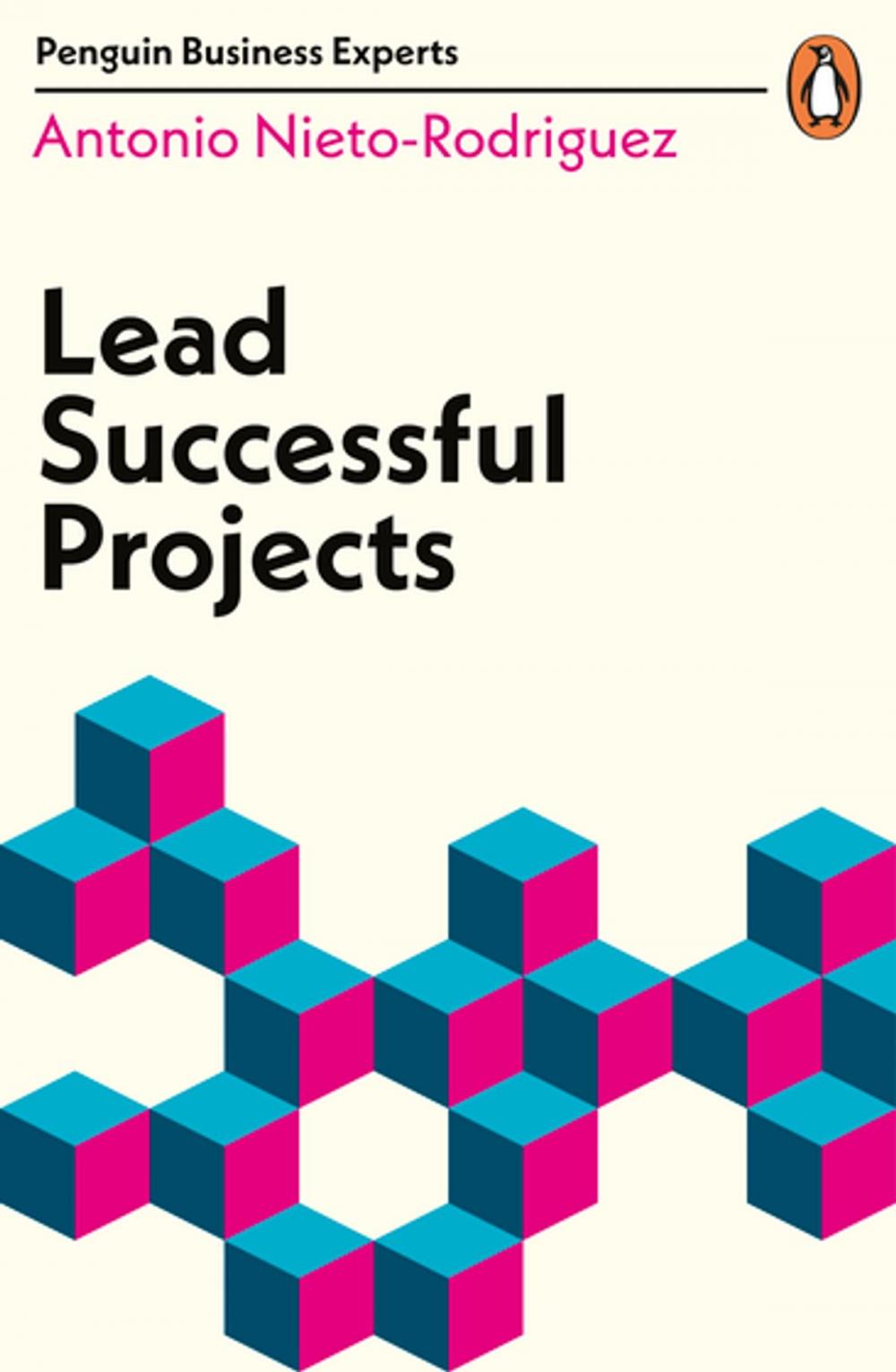 Big bigCover of Lead Successful Projects