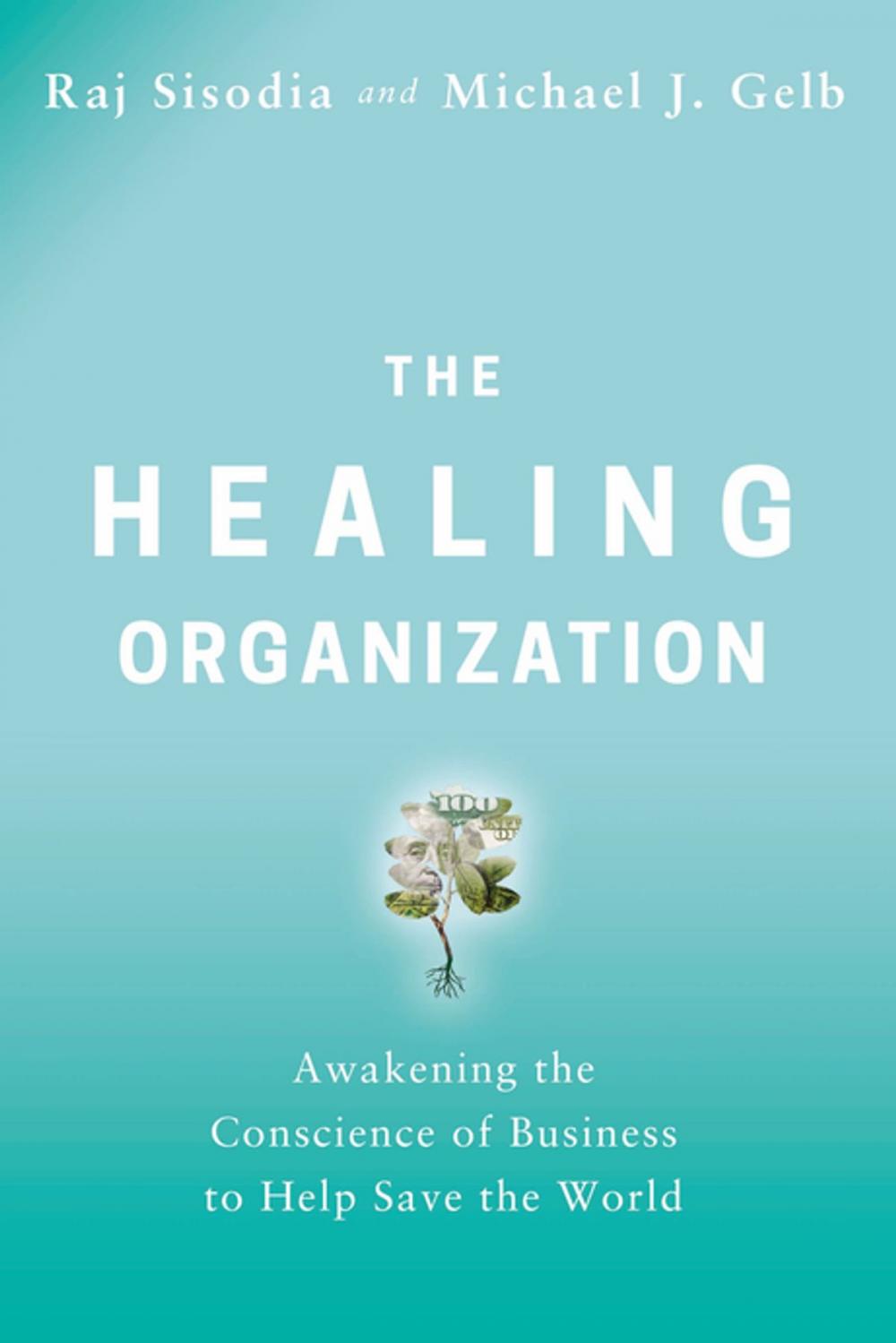 Big bigCover of The Healing Organization