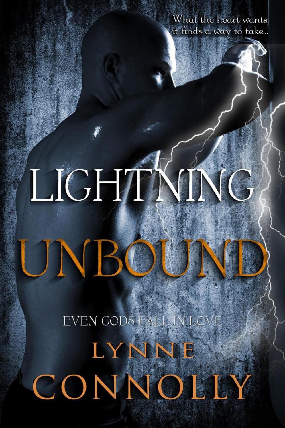 Big bigCover of Lightning Unbound