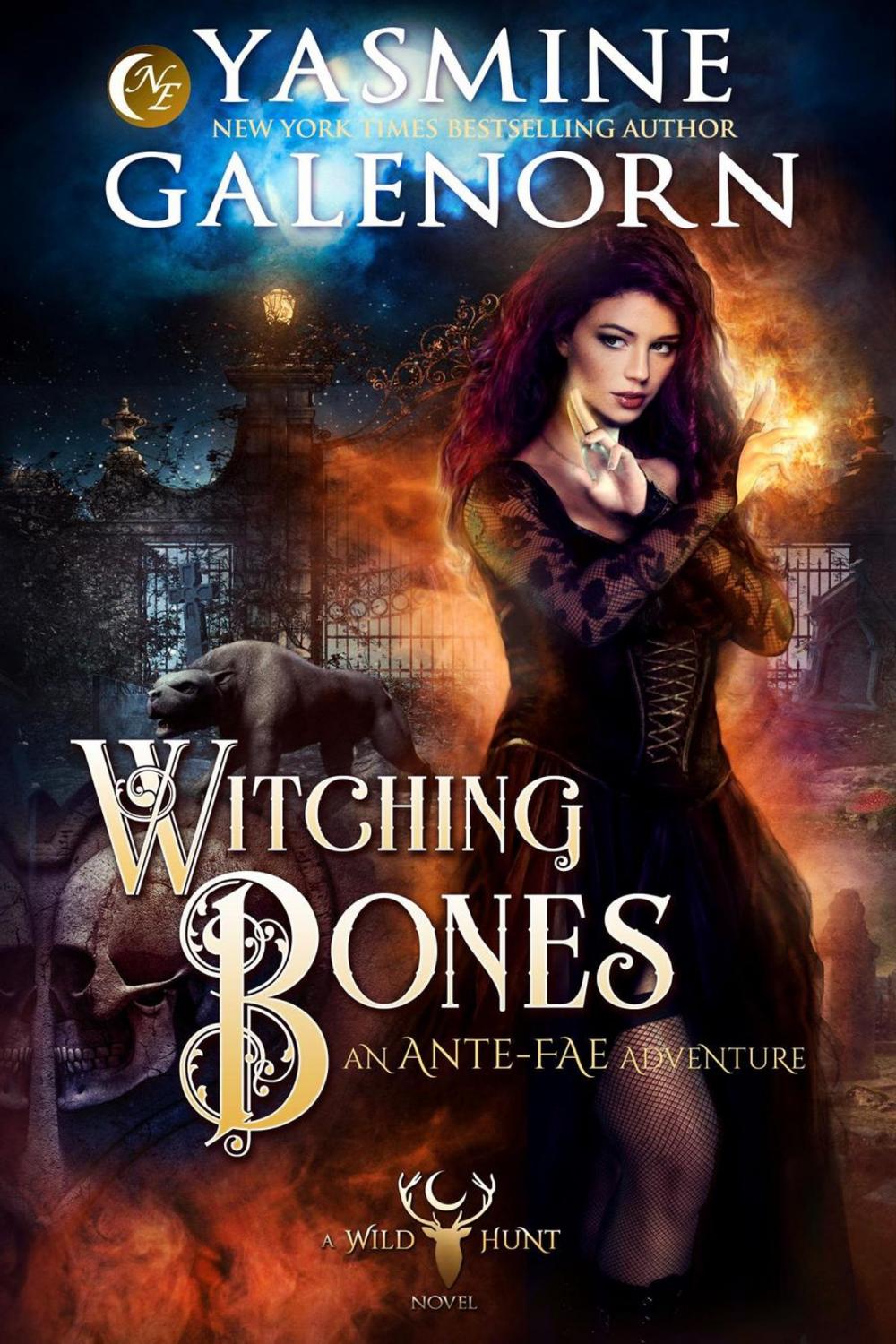 Big bigCover of Witching Bones