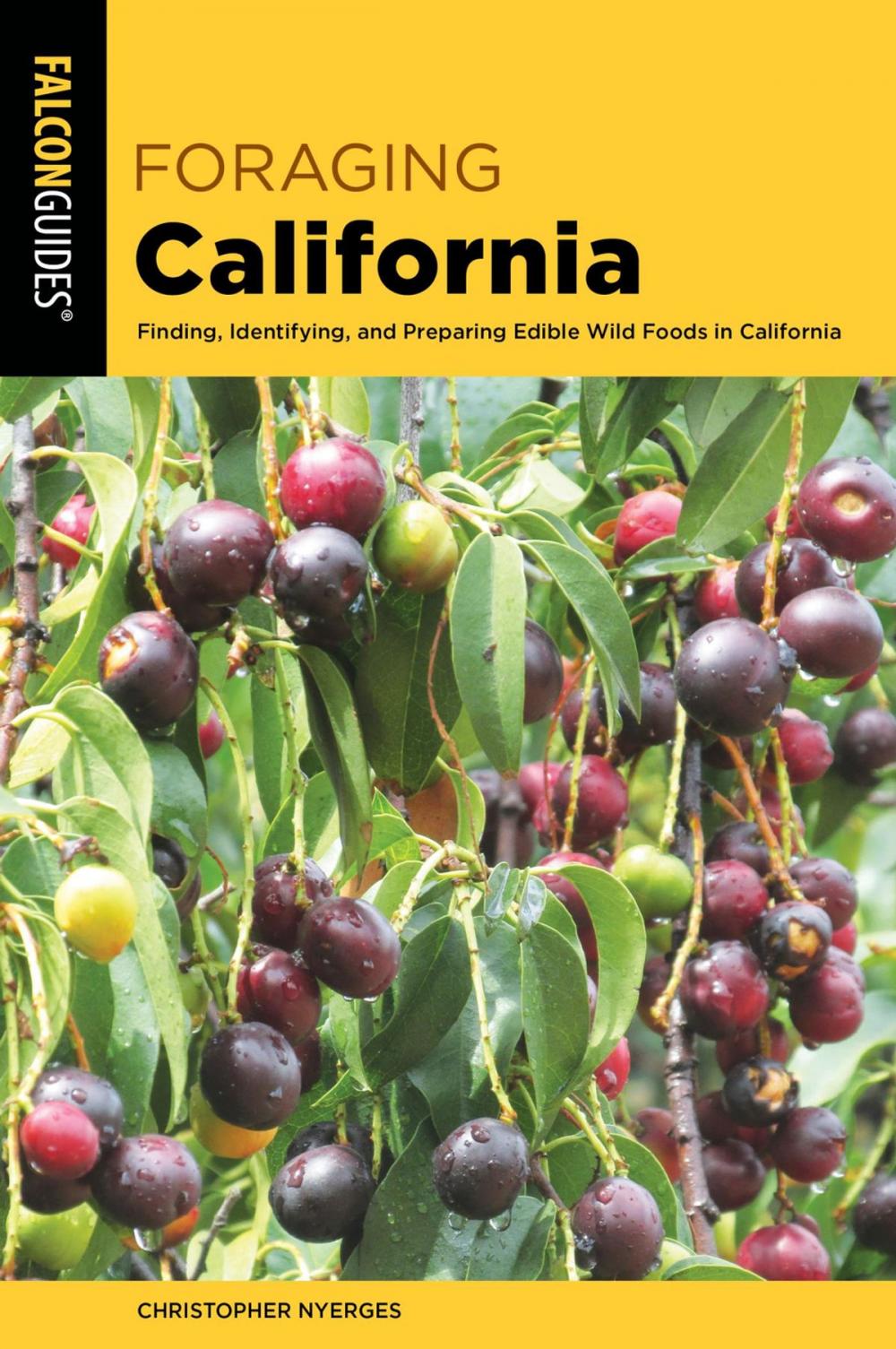 Big bigCover of Foraging California