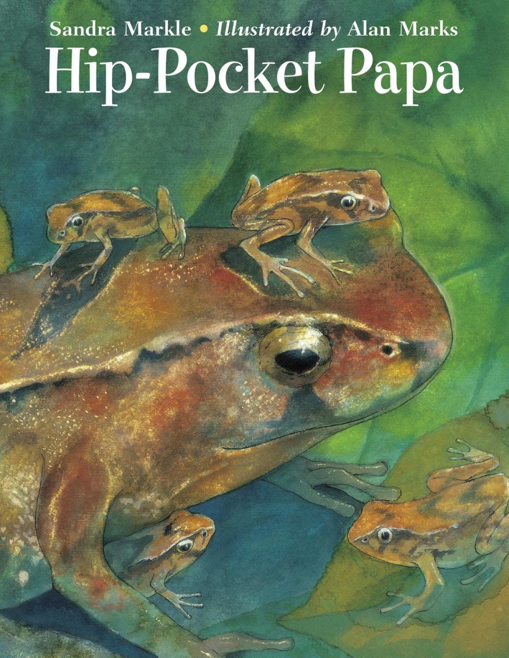 Big bigCover of Hip-Pocket Papa