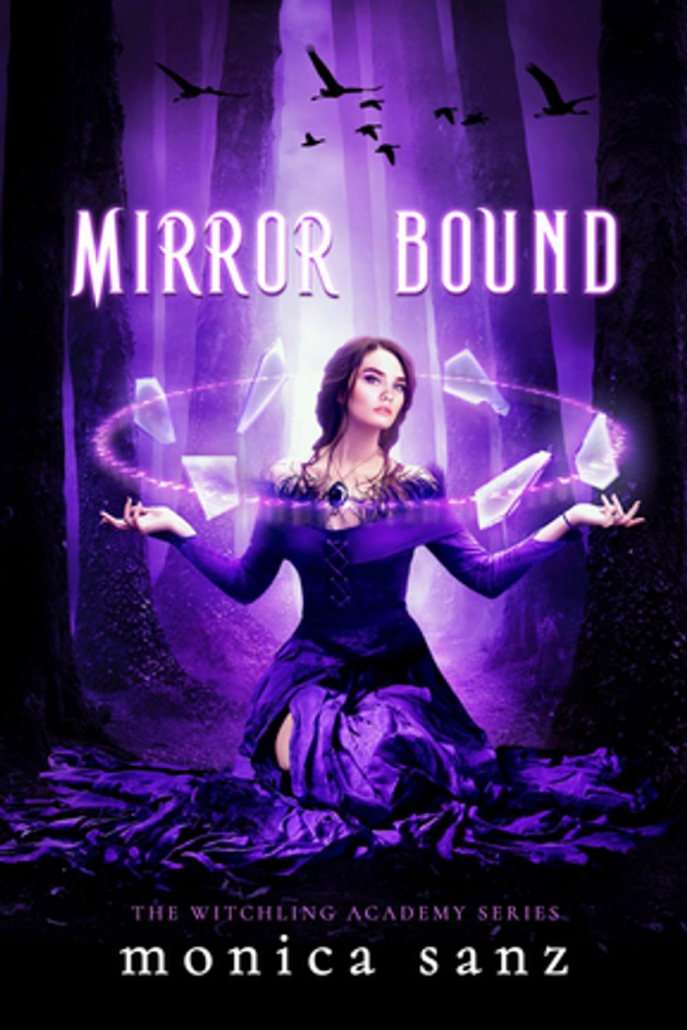 Big bigCover of Mirror Bound