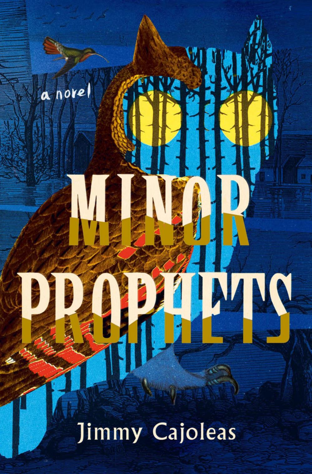 Big bigCover of Minor Prophets