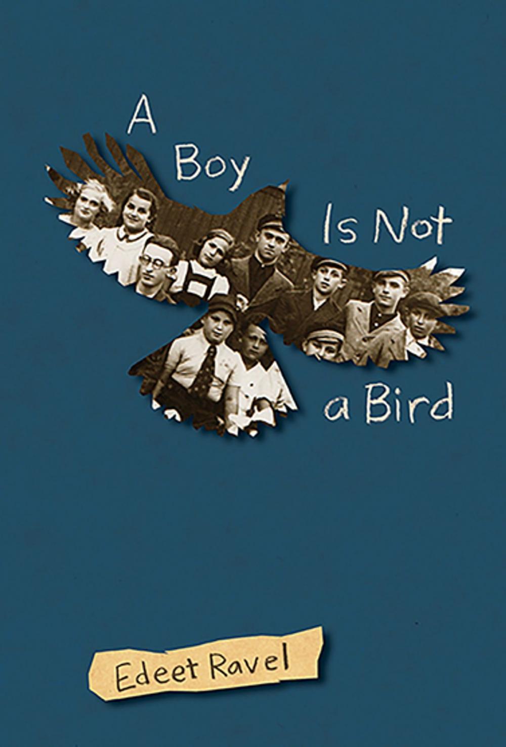 Big bigCover of A Boy Is Not a Bird