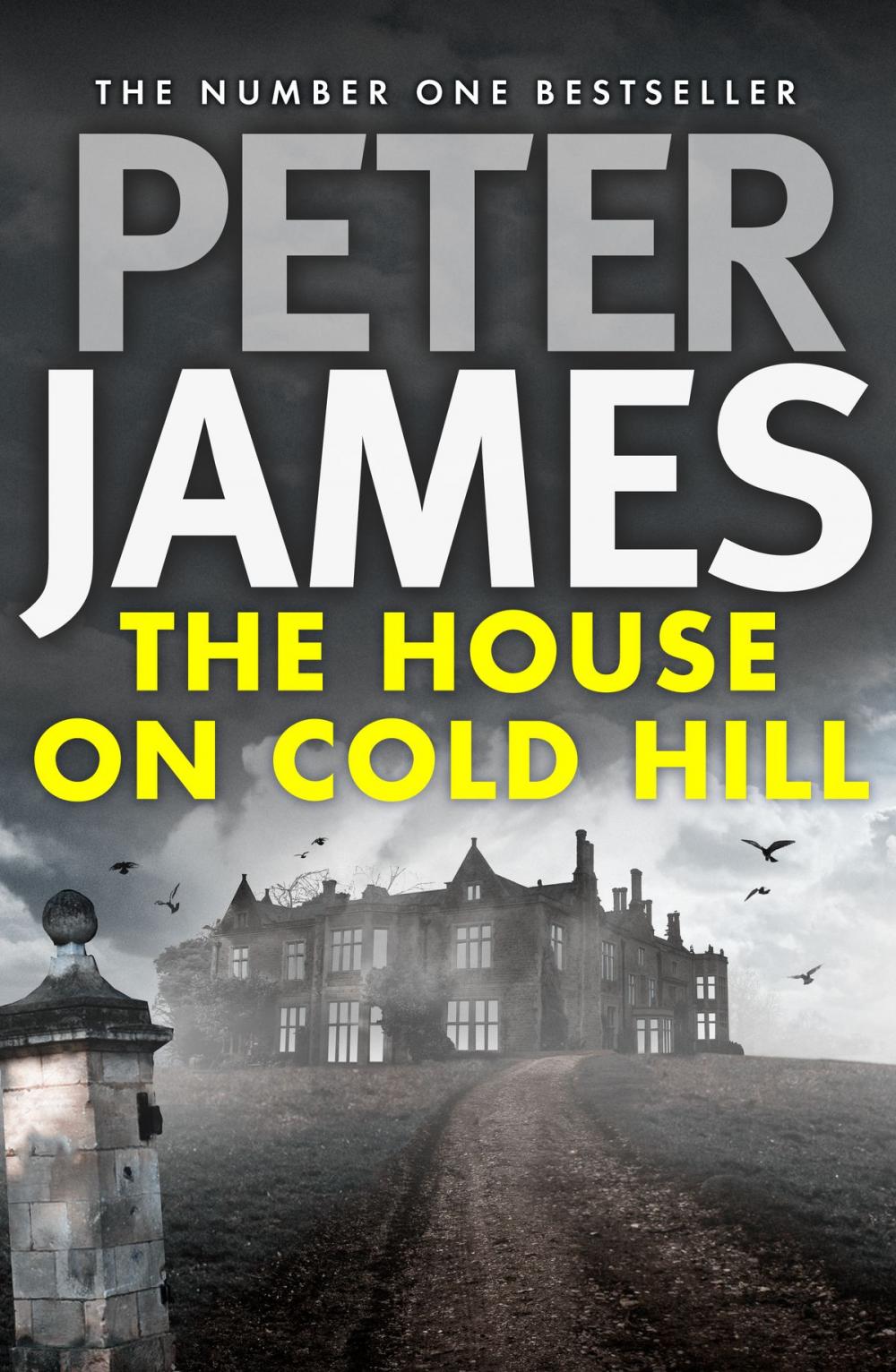 Big bigCover of The House on Cold Hill