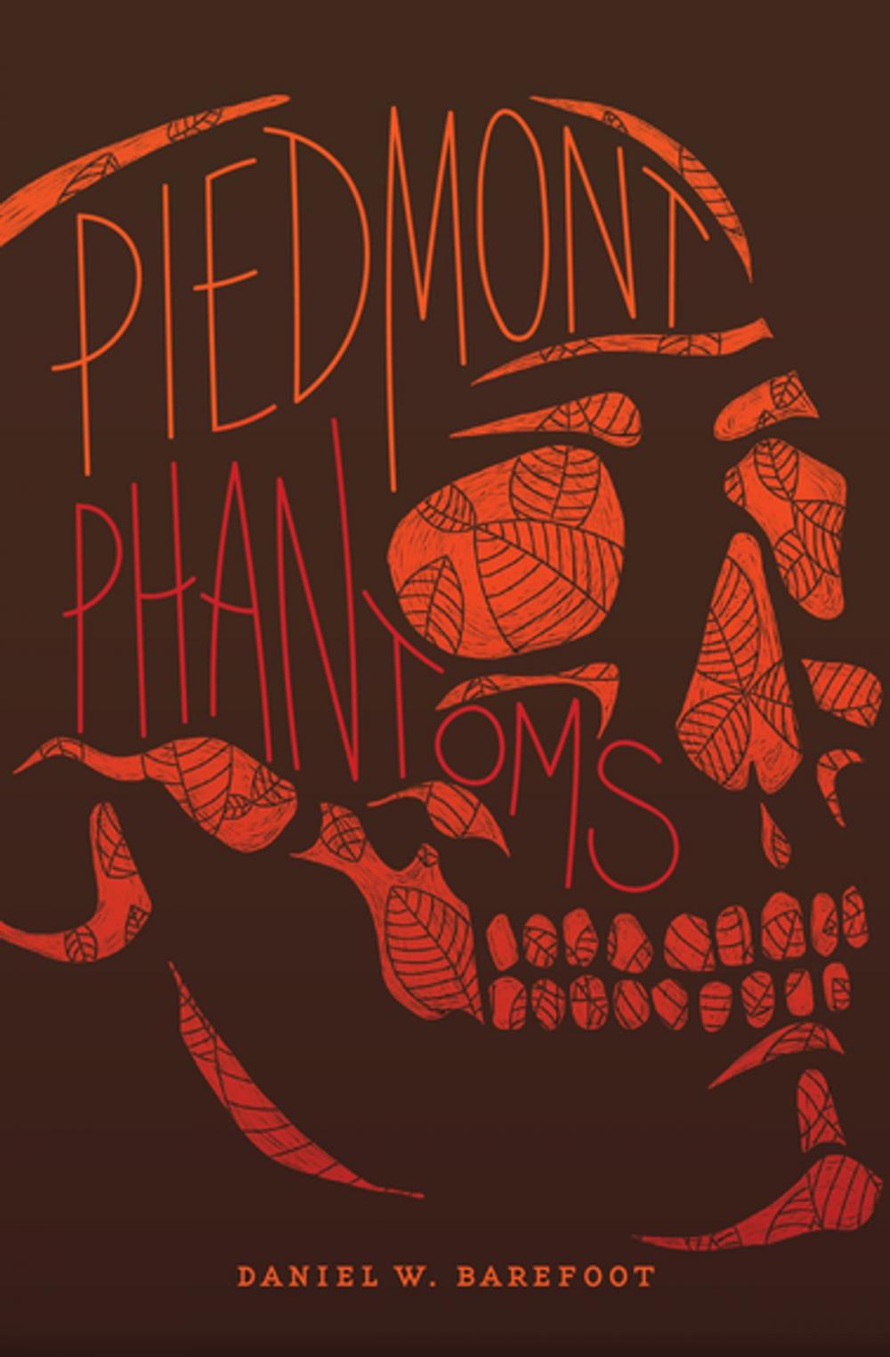 Big bigCover of Piedmont Phantoms