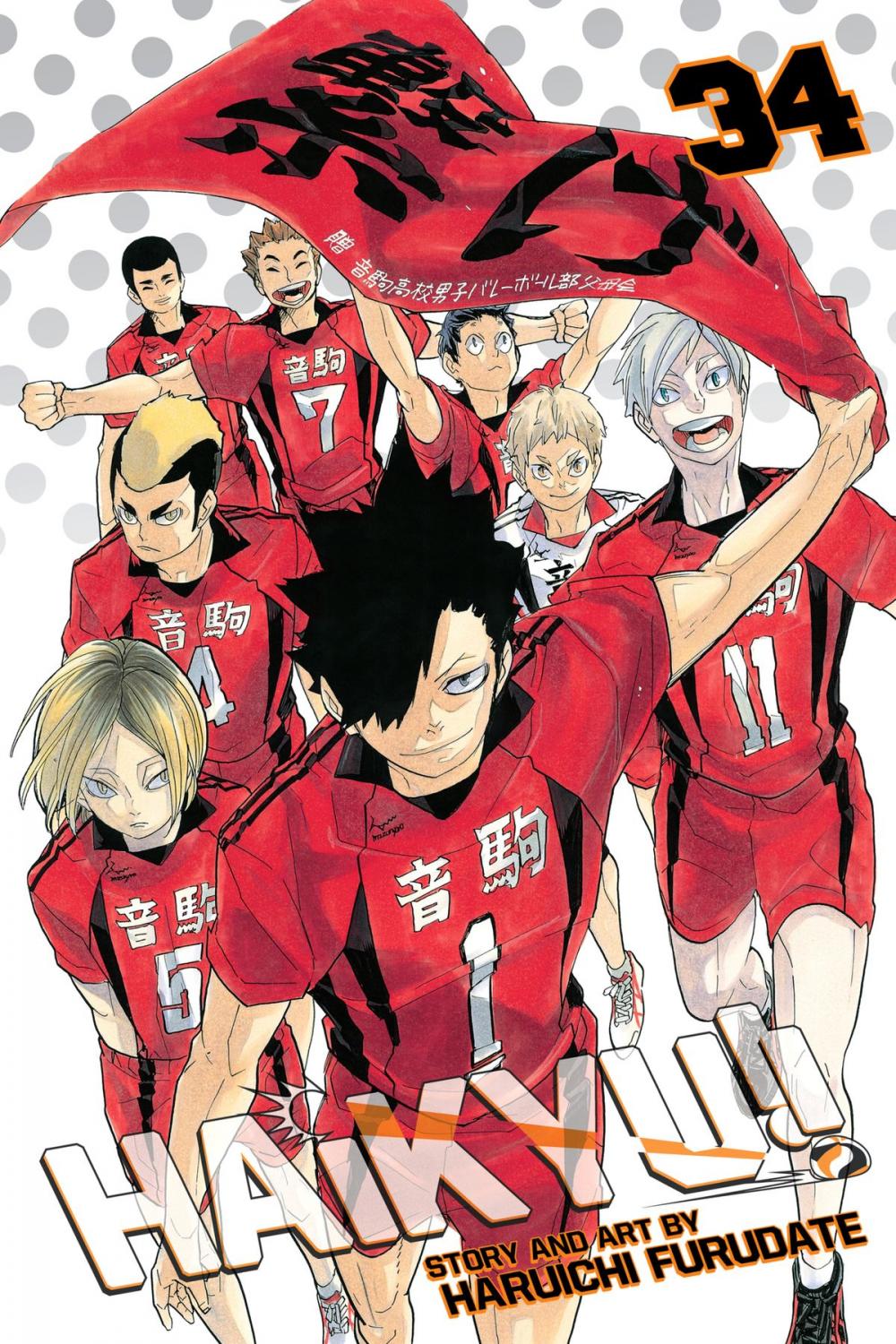 Big bigCover of Haikyu!!, Vol. 34