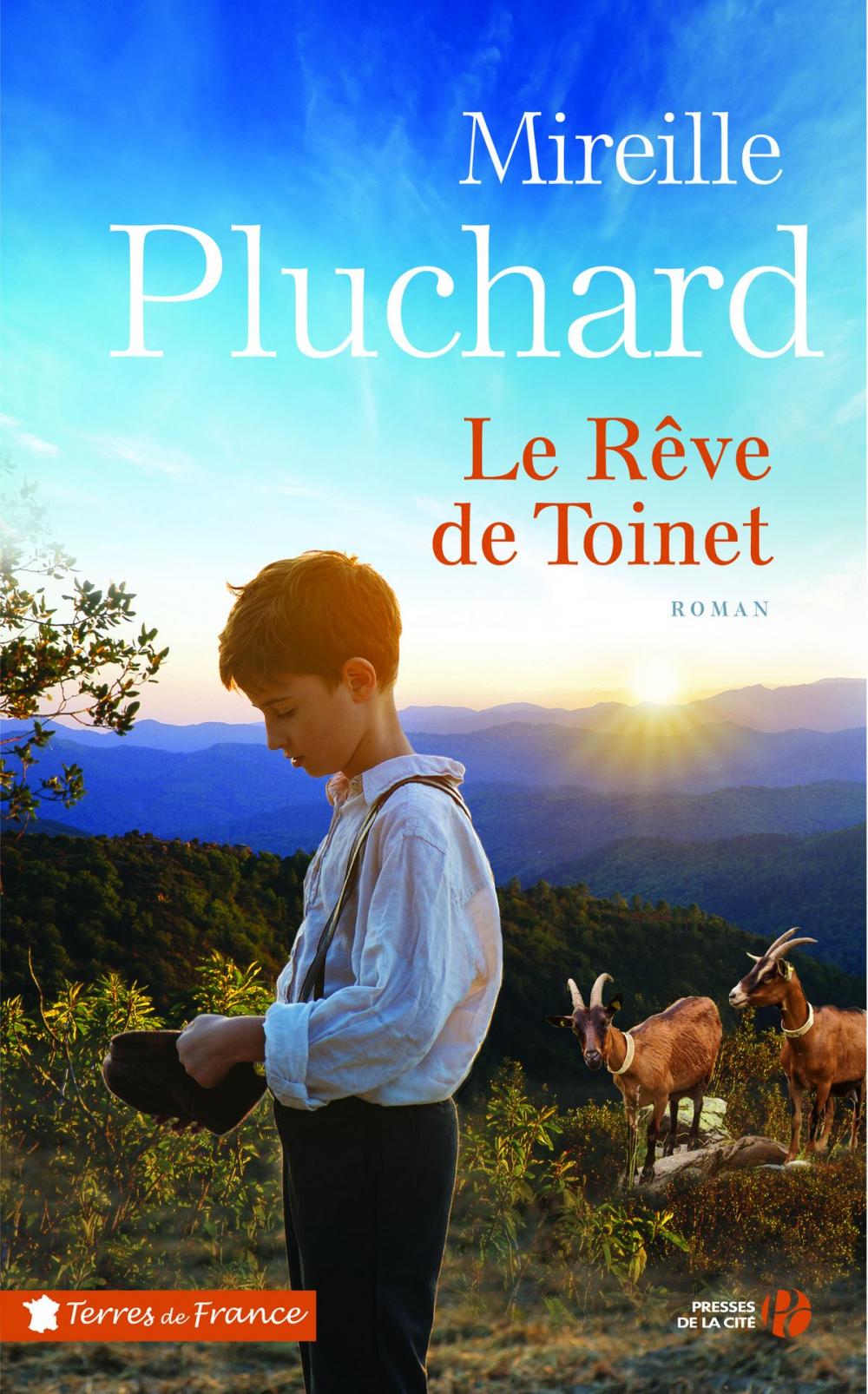 Big bigCover of Le Rêve de Toinet