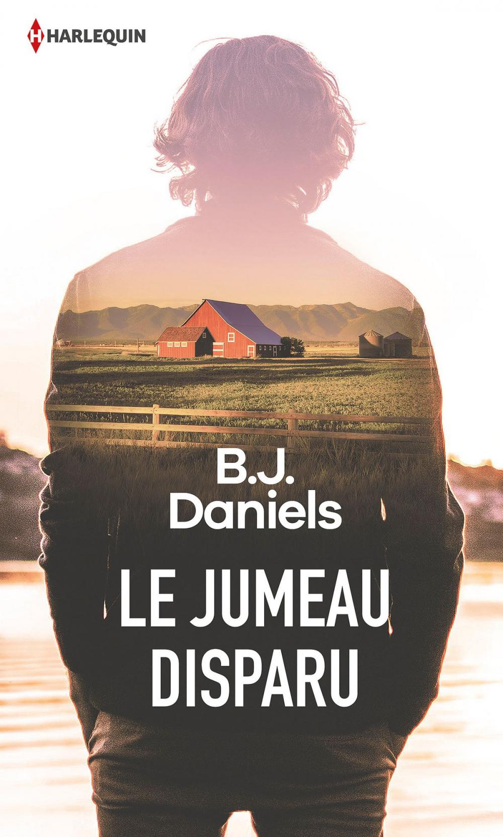 Big bigCover of Le jumeau disparu