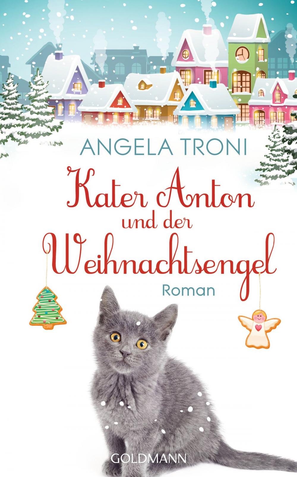 Big bigCover of Kater Anton und der Weihnachtsengel