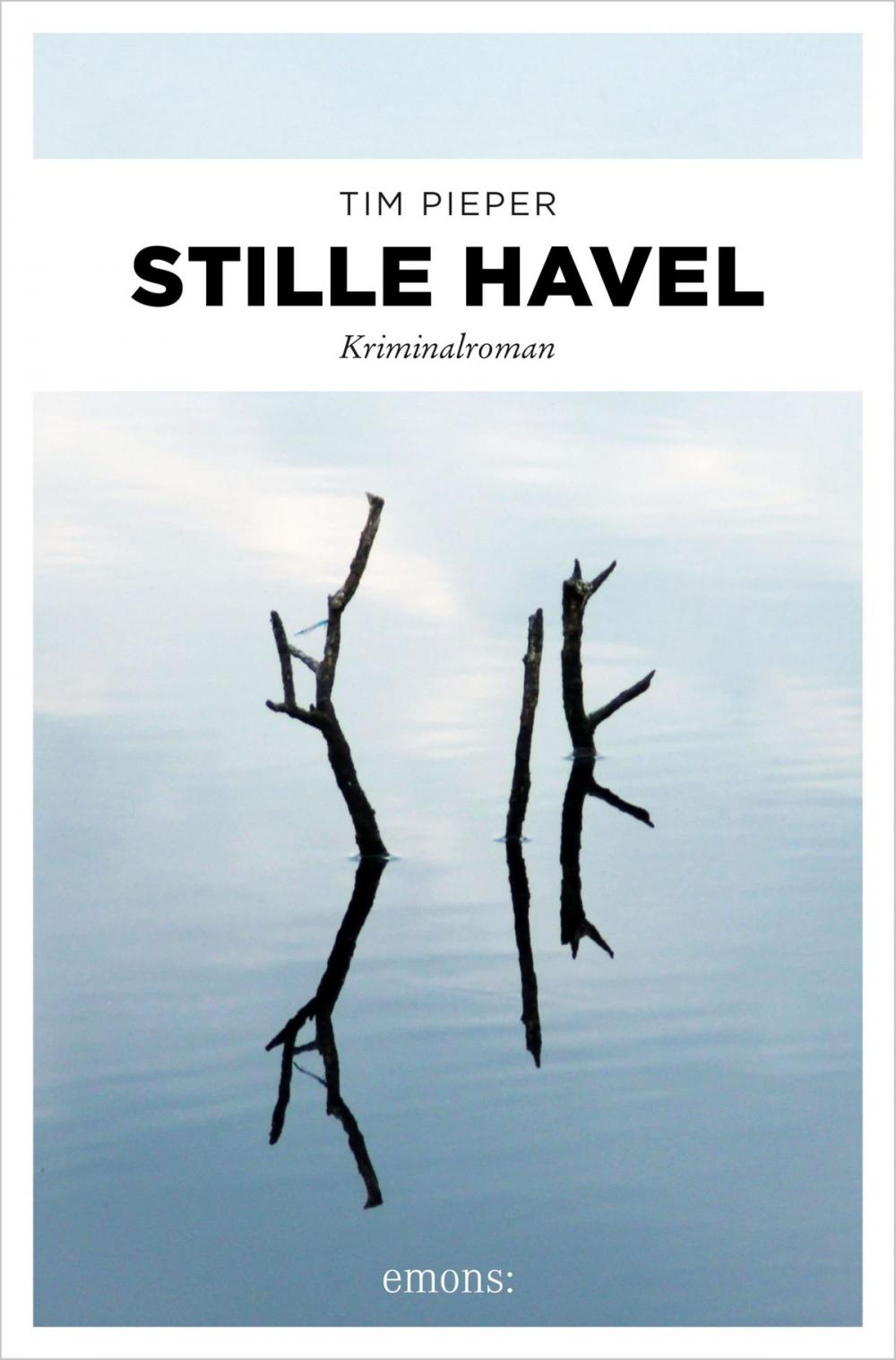 Big bigCover of Stille Havel