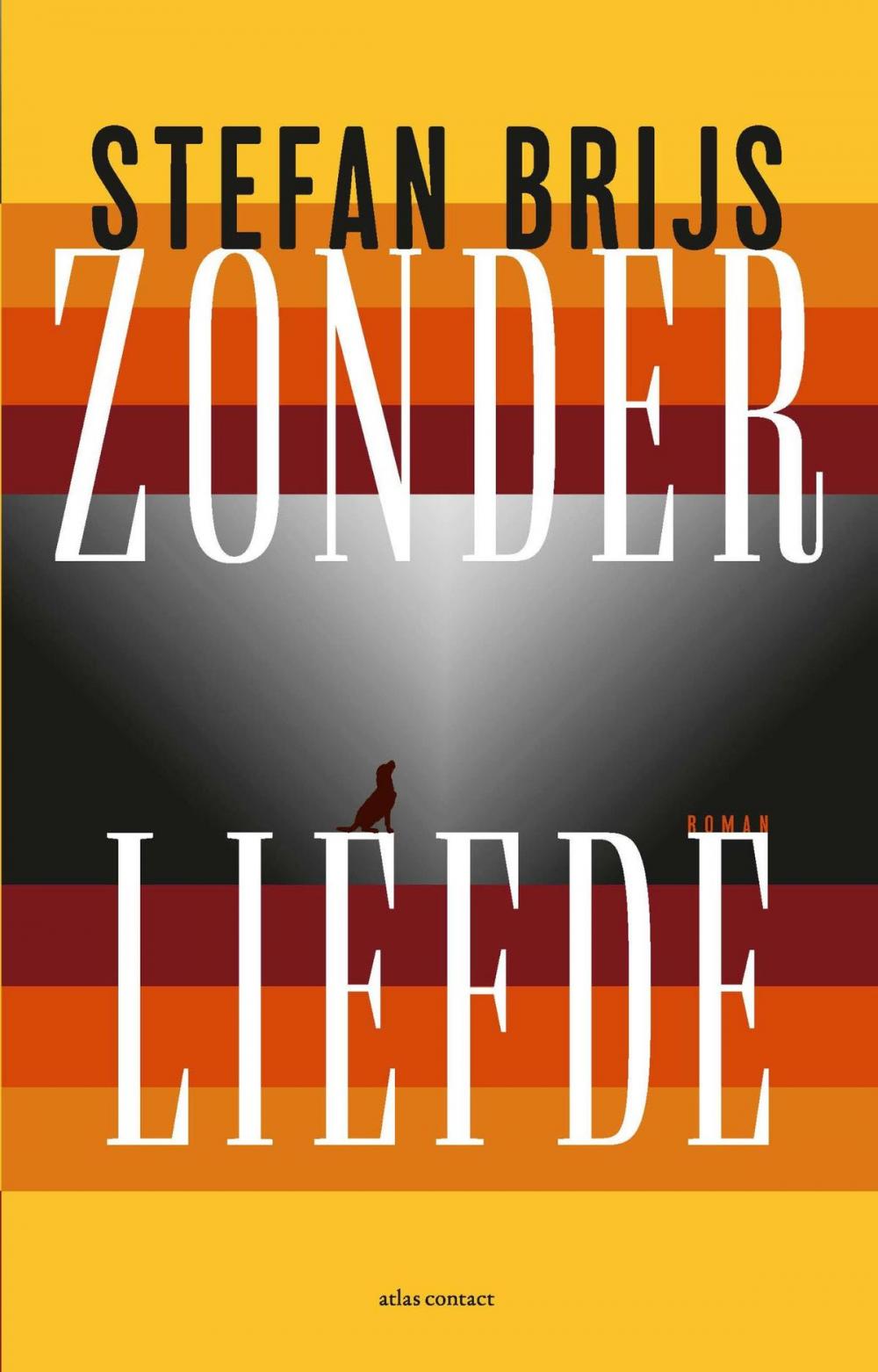 Big bigCover of Zonder liefde