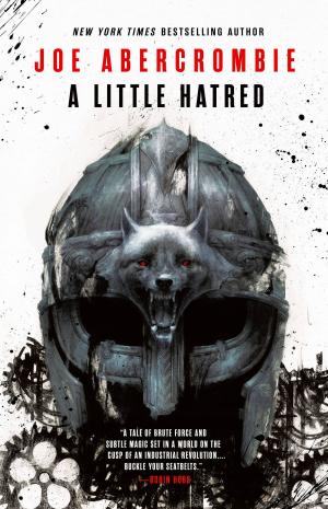 Cover of the book A Little Hatred by David Casarett