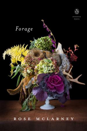 Cover of the book Forage by Tabor Evans