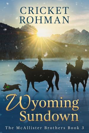 Cover of the book WYOMING SUNDOWN by Jennifer Dean