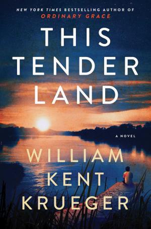 Cover of the book This Tender Land by Jen Minkman