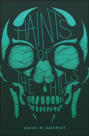 Cover of the book Haints of the Hills by James Gindlesperger, Suzanne Gindlesperger