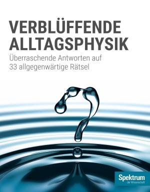 Cover of the book Spektrum Spezial - Verblüffende Alltagsphysik by 